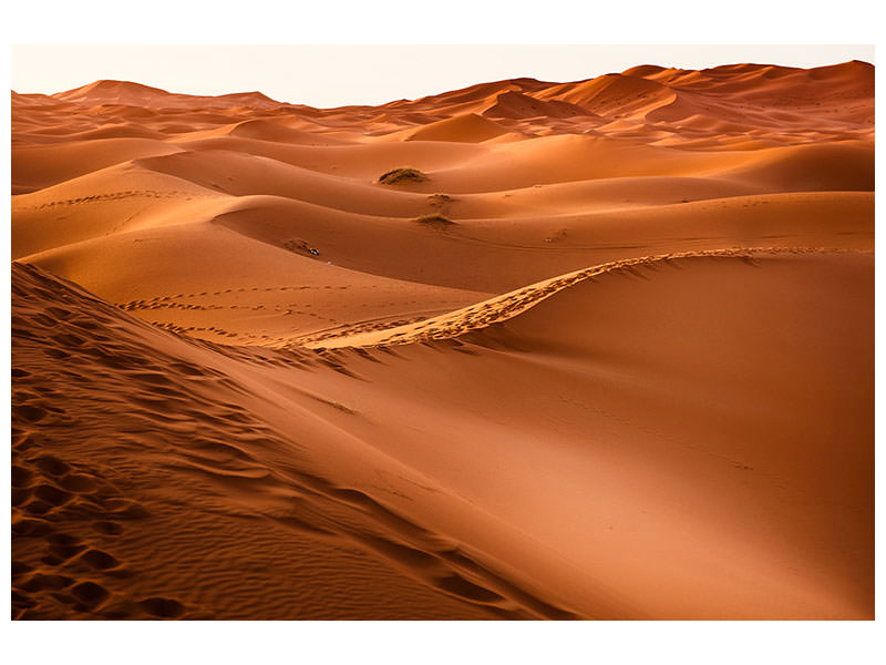4-piece-canvas-print-traces-in-the-desert