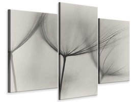 panoramic-3-piece-canvas-print-tragopogon