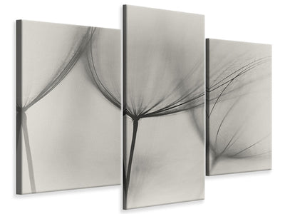 panoramic-3-piece-canvas-print-tragopogon