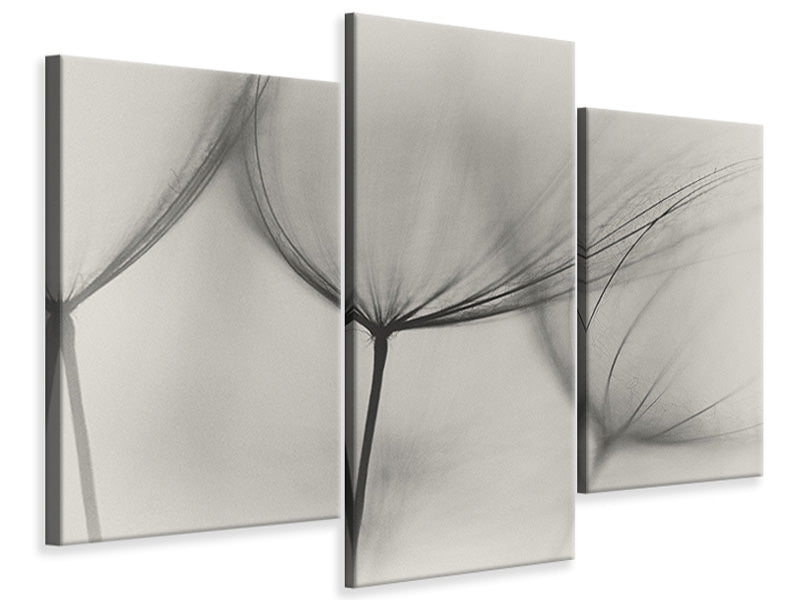 5-piece-canvas-print-tragopogon
