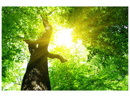 modern-4-piece-canvas-print-tree
