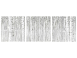 panoramic-canvas-print-trees