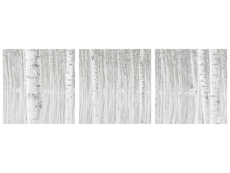 4-piece-canvas-print-trees