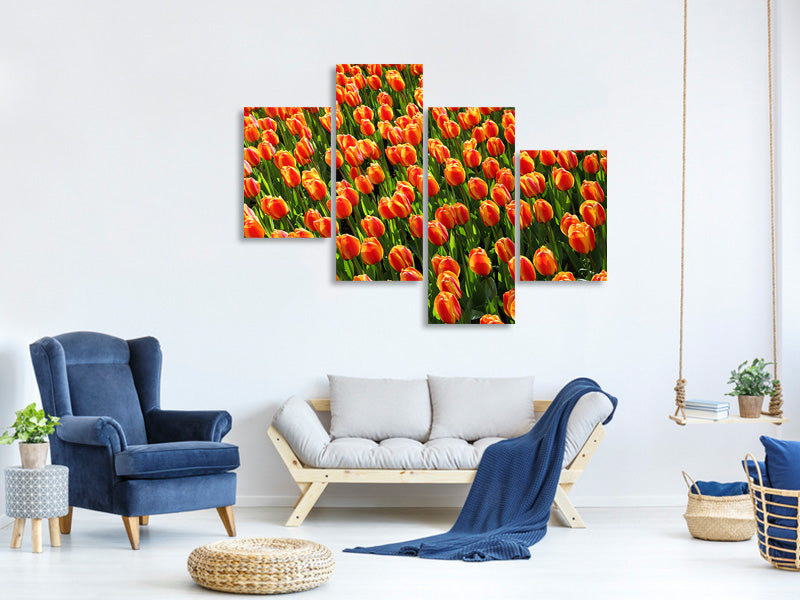 3-piece-canvas-print-tulip-field-in-orange