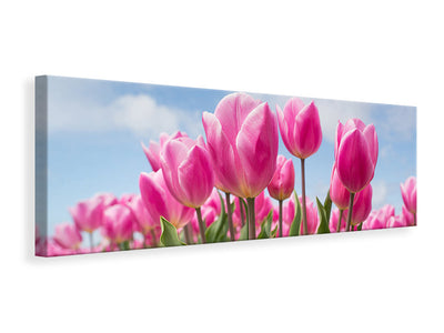panoramic-3-piece-canvas-print-tulip-field-in-pink