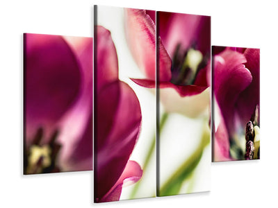 canvas-print-tulip-iv