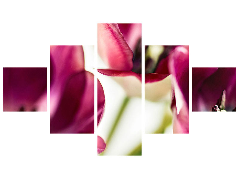 modern-4-piece-canvas-print-tulip-iv