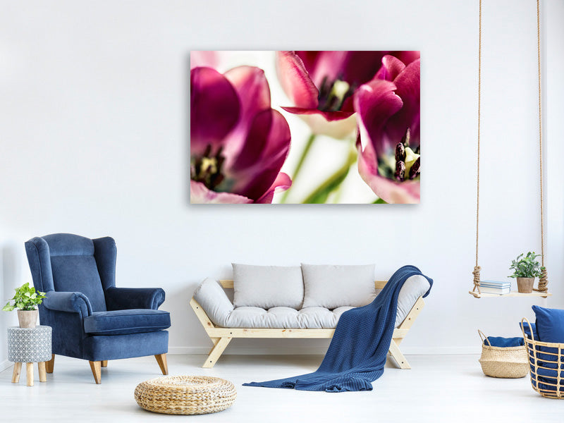 modern-4-piece-canvas-print-tulip-iv
