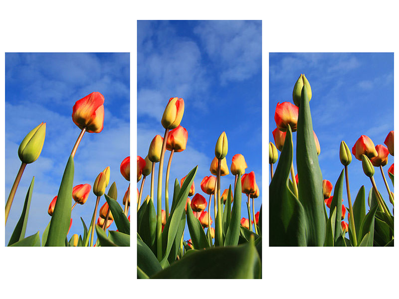 modern-4-piece-canvas-print-tulips-tower-to-the-sky
