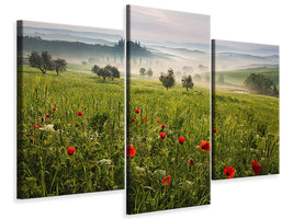 5-piece-canvas-print-tuscan-spring