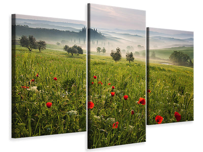 modern-4-piece-canvas-print-tuscan-spring