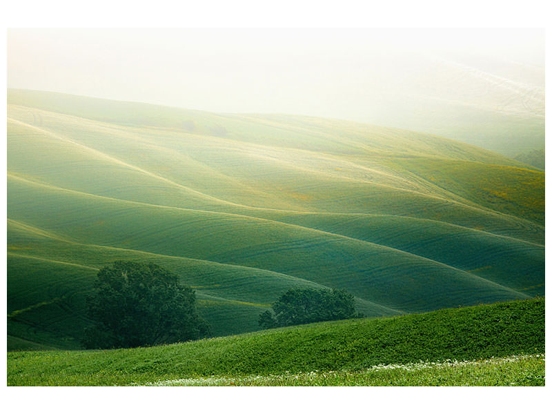 5-piece-canvas-print-tuscany