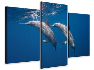 canvas-print-two-bottlenose-dolphins