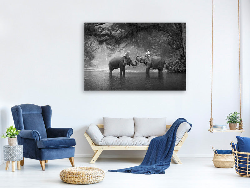 5-piece-canvas-print-two-elephants