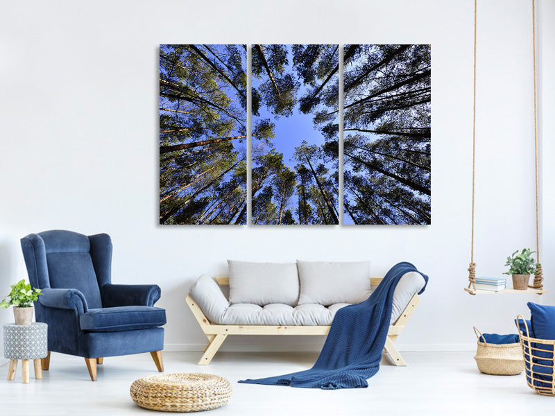 5-piece-canvas-print-under-high-treetops