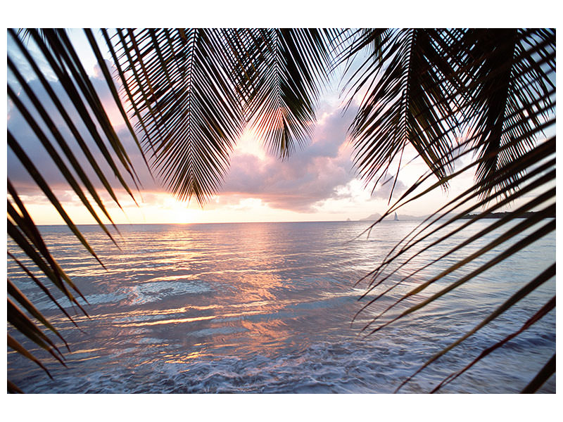 panoramic-3-piece-canvas-print-under-palm-leaves