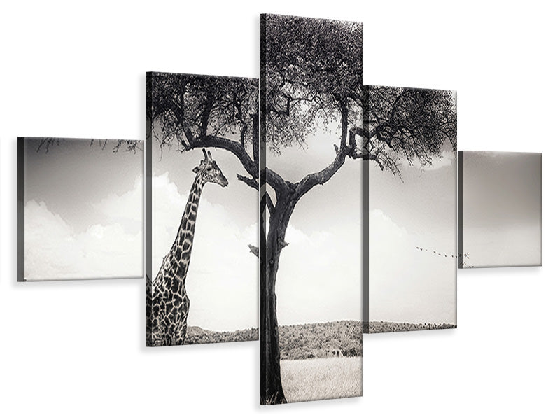 3-piece-canvas-print-under-the-african-sun