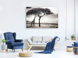 modern-3-piece-canvas-print-under-the-african-sun