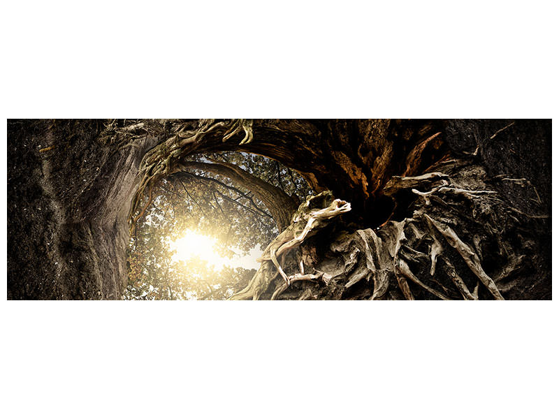 panoramic-3-piece-canvas-print-under-the-trees