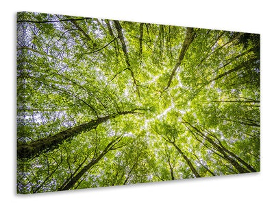 4-piece-canvas-print-under-the-treetops