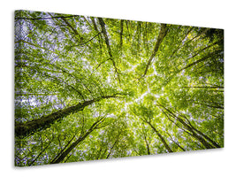 modern-4-piece-canvas-print-under-the-treetops