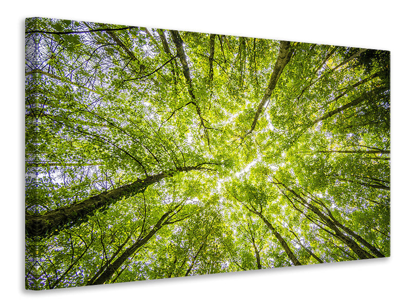 modern-4-piece-canvas-print-under-the-treetops