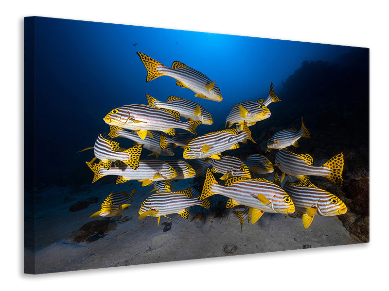 4-piece-canvas-print-fish-in-the-dance-of-the-waves