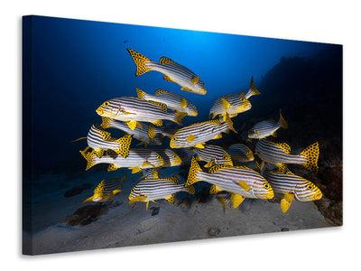 canvas-print-fish-in-the-dance-of-the-waves