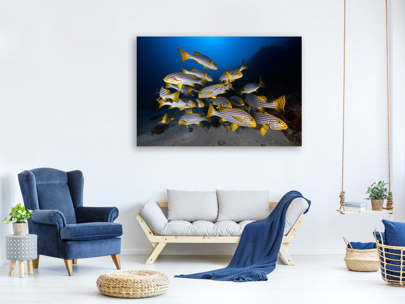 panoramic-3-piece-canvas-print-fish-in-the-dance-of-the-waves
