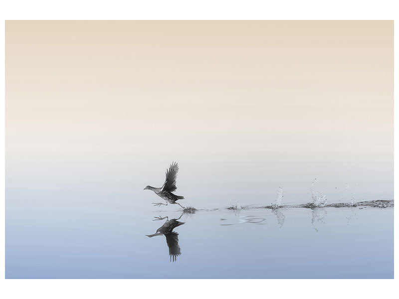 4-piece-canvas-print-untitled-xlv