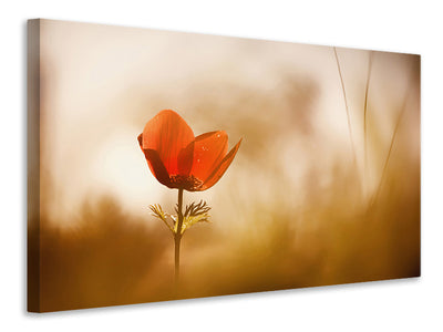 panoramic-3-piece-canvas-print-untitled-xxxi