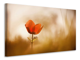panoramic-canvas-print-untitled-xxxi