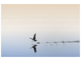 5-piece-canvas-print-untitled-xlv