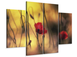 panoramic-3-piece-canvas-print-untitled-xvi-p