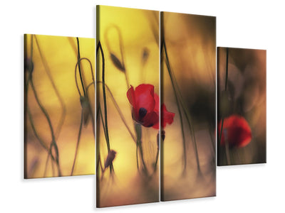 canvas-print-untitled-xvi-p