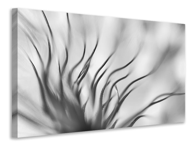 panoramic-3-piece-canvas-print-untitled-xvii-p