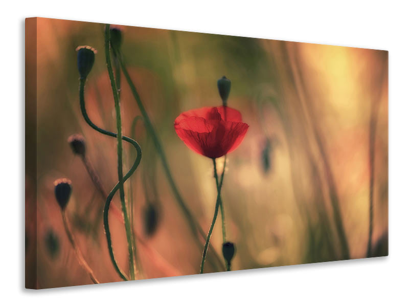 5-piece-canvas-print-untitled-xxviii