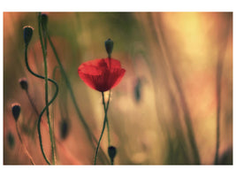 modern-4-piece-canvas-print-untitled-xxviii