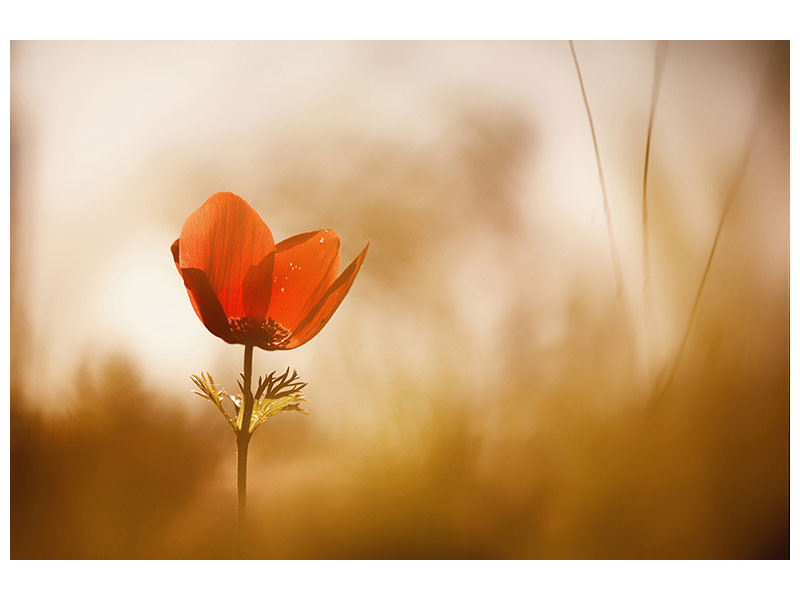 modern-3-piece-canvas-print-untitled-xxxi