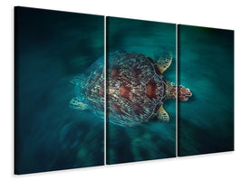 4-piece-canvas-print-valocity-turtle