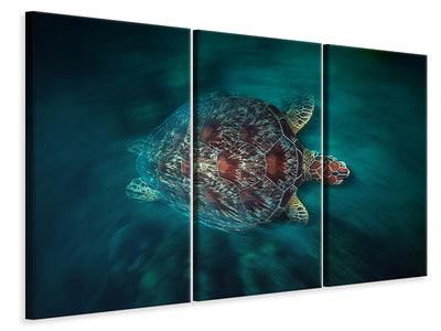 canvas-print-valocity-turtle