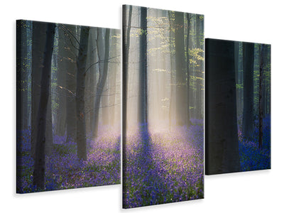 panoramic-3-piece-canvas-print-velvet-light