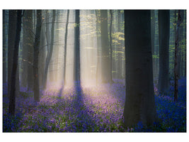modern-3-piece-canvas-print-velvet-light