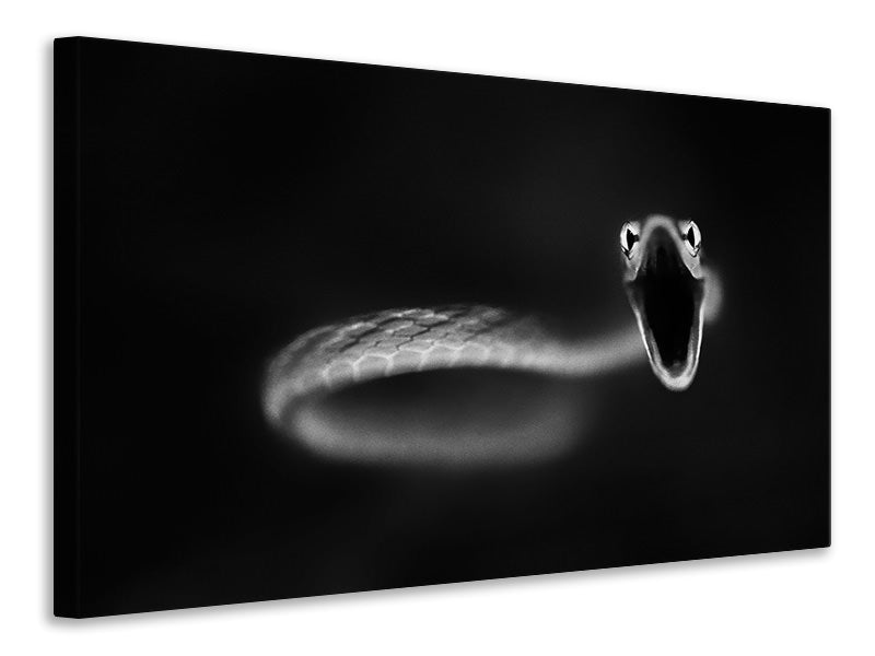 panoramic-3-piece-canvas-print-vine-snake-strike