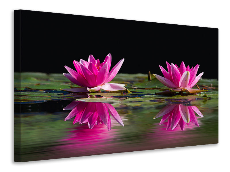 3-piece-canvas-print-water-lilies-duo-in-pink
