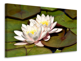 3-piece-canvas-print-water-lily-duo-in-white