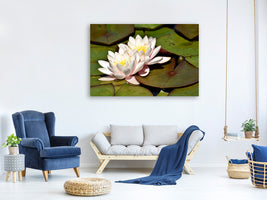 3-piece-canvas-print-water-lily-duo-in-white
