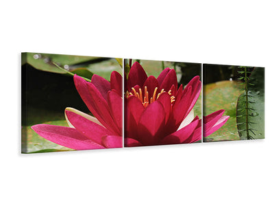 3-piece-canvas-print-water-lily-in-red