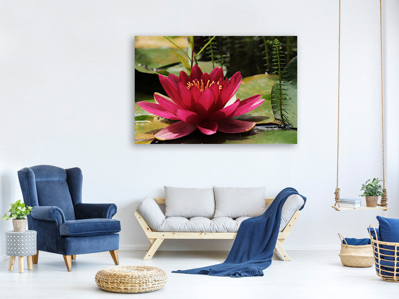 3-piece-canvas-print-water-lily-in-red