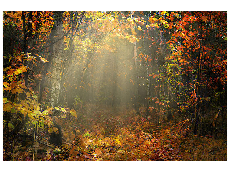 5-piece-canvas-print-we-love-autumn